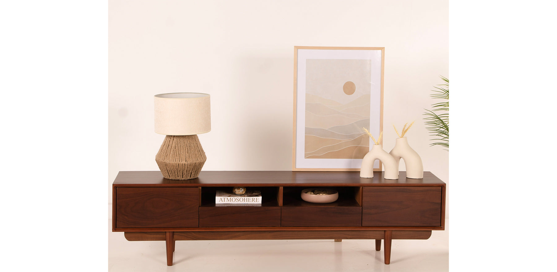 وحدة تلفزيون لينزا والنت