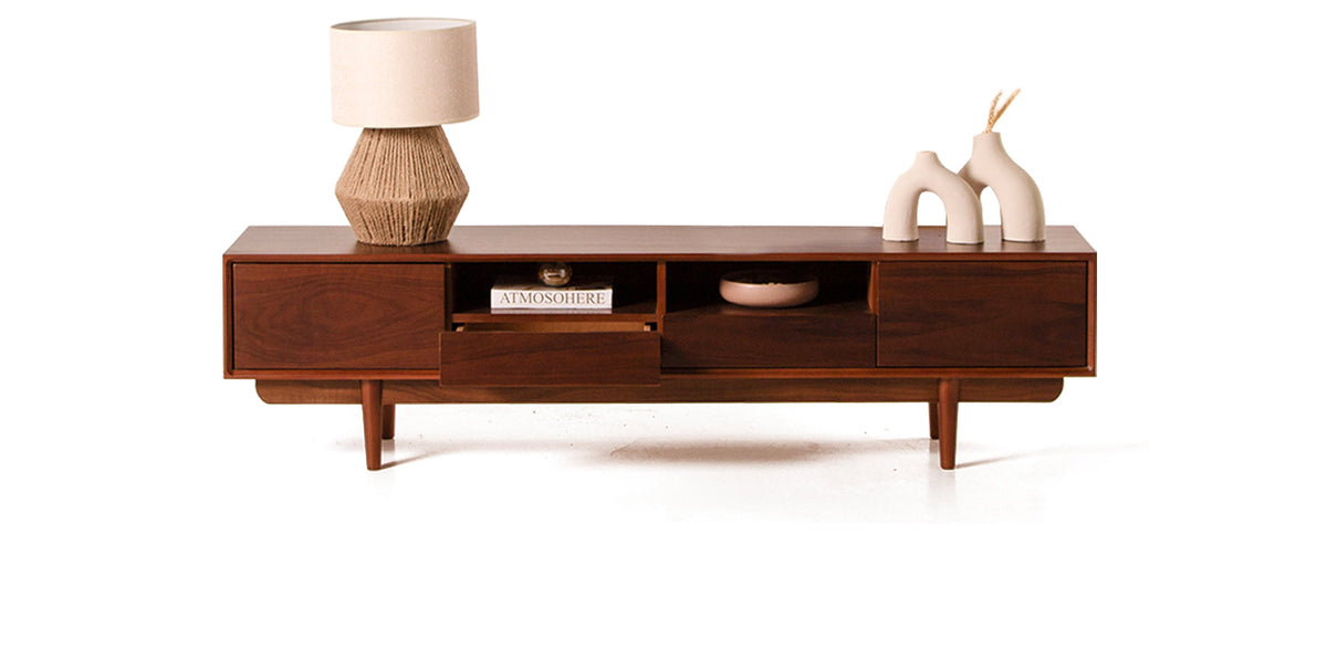 وحدة تلفزيون لينزا والنت